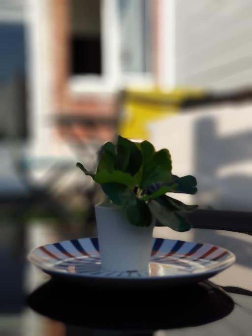 Le Chat Bleu - 26M2- Terrasse Sur Les Toits - Wi-Fi Amiens Exterior photo